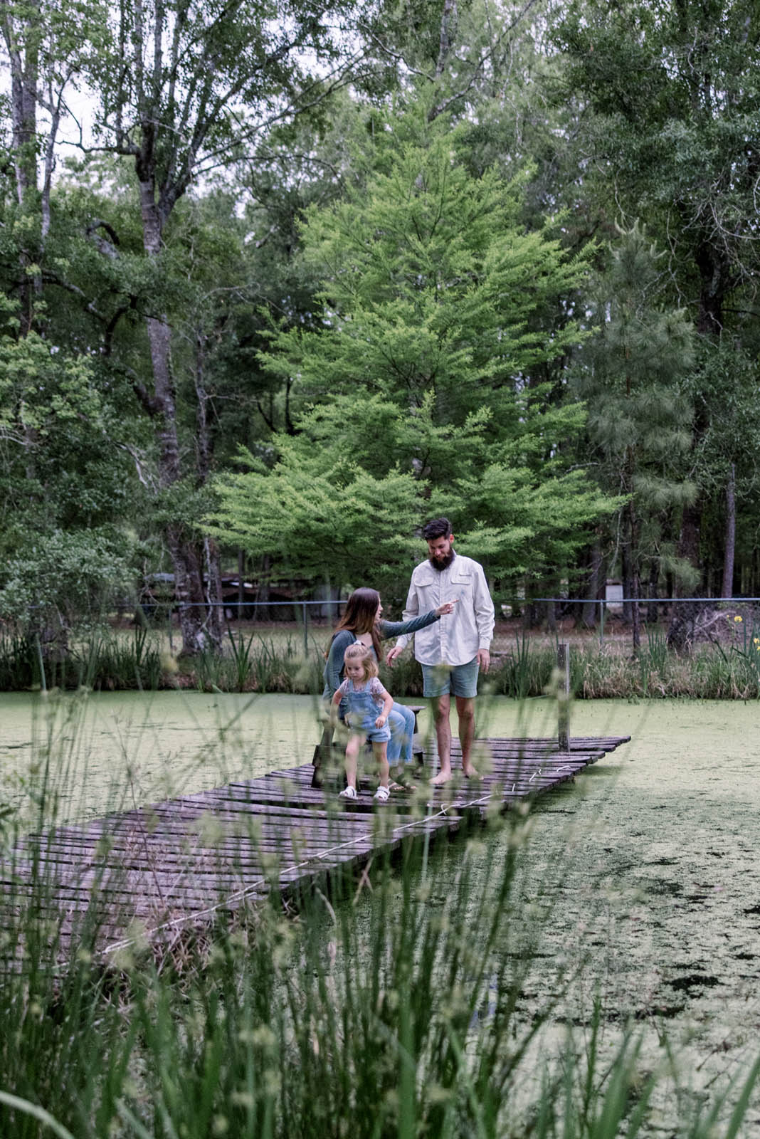 Featured image for “Families”