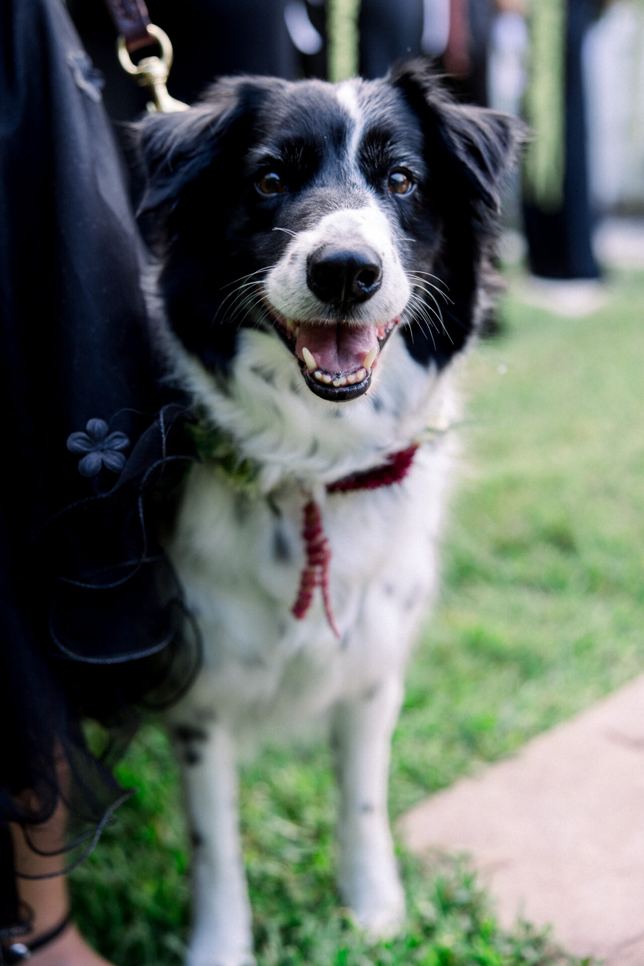 Featured image for “Weddings”