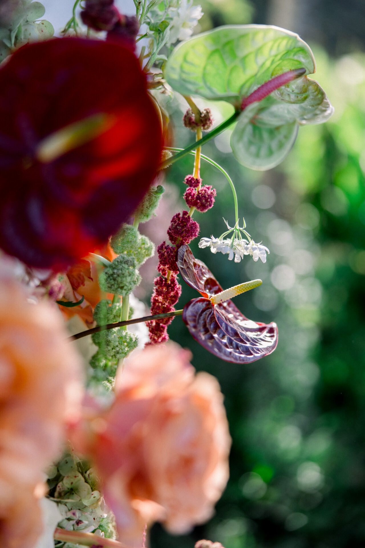 Featured image for “Weddings”