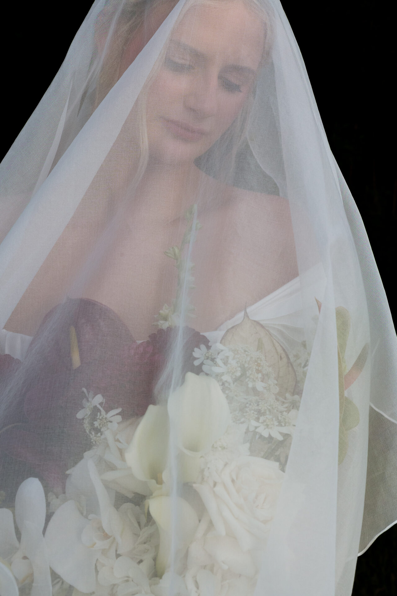 Featured image for “Weddings”