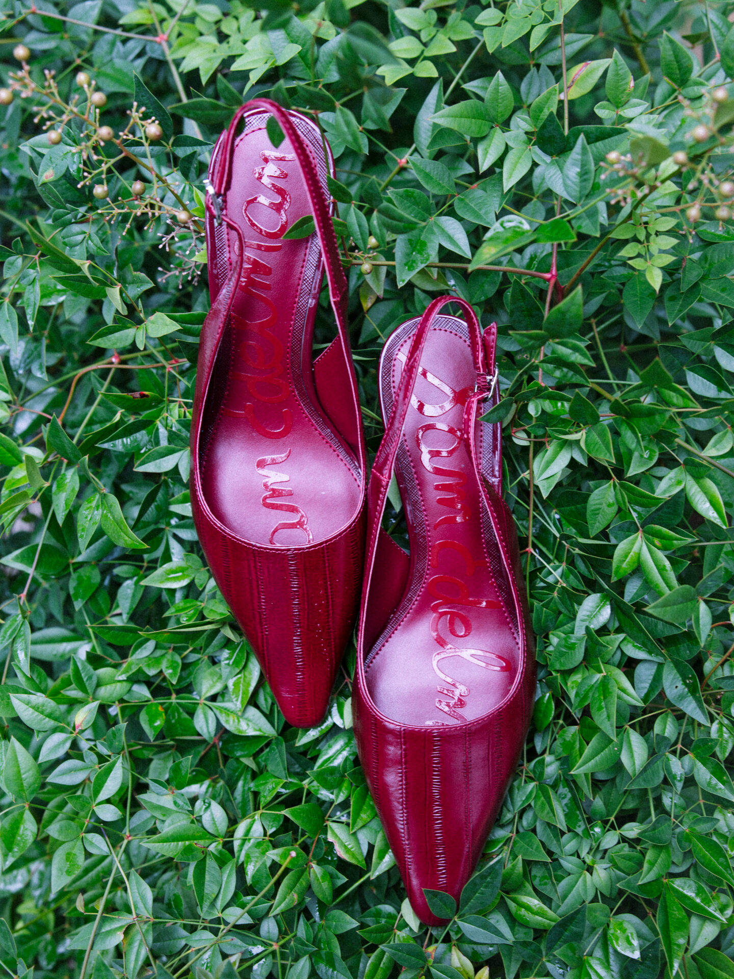 Featured image for “Weddings”