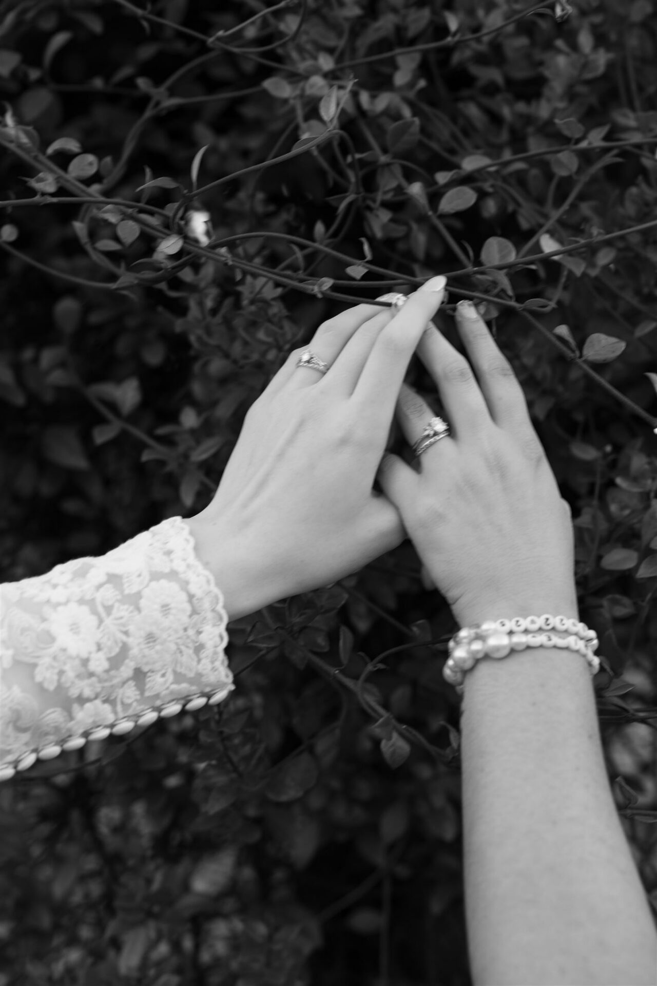 Featured image for “Weddings”