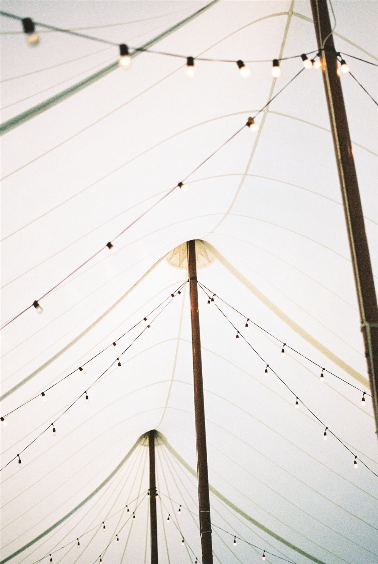 Featured image for “Weddings”