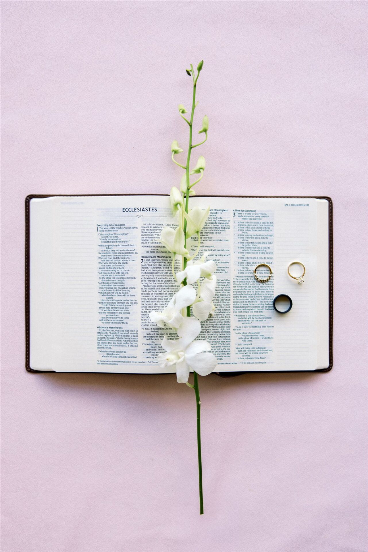 Featured image for “Weddings”