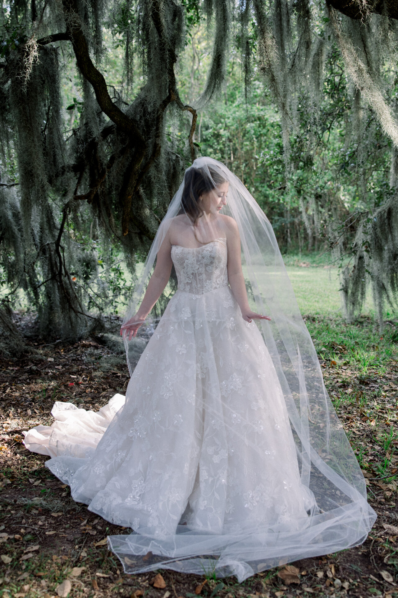 Featured image for “Weddings”